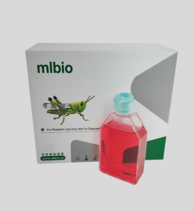 MDA-MB-175VII人乳腺導管癌細胞(L15) 主圖