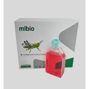 人子宮內膜干細胞主圖