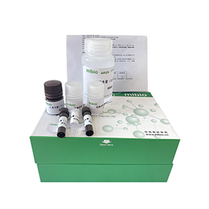 半乳糖(D-Galactose)含量試劑盒(可見(jiàn)顯色)微板法/48樣主圖