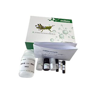 甘露糖-6-磷酸(D-Mannose-6-phosphate，M6P)含量測定試劑盒微板法/96樣主圖