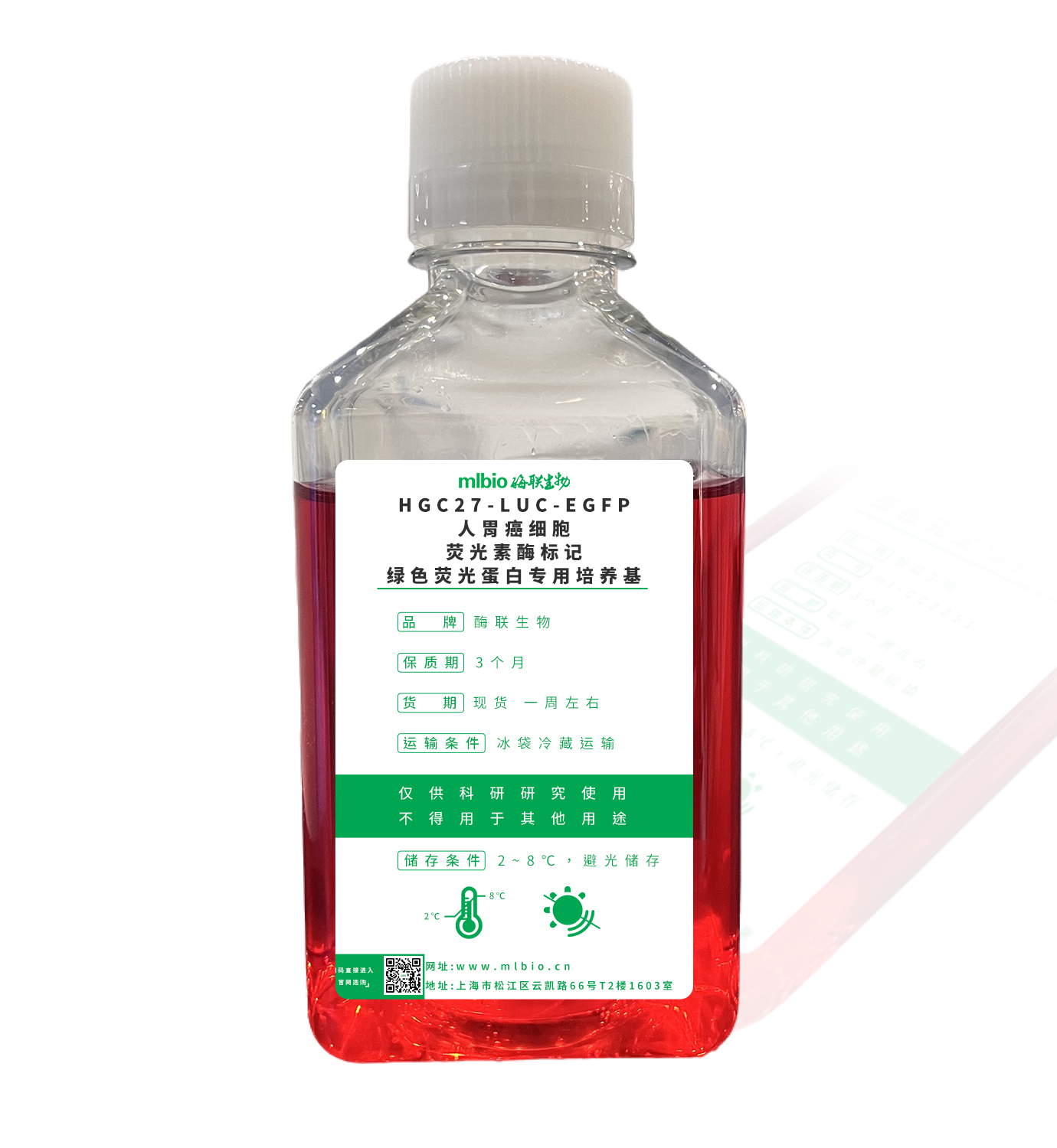 HGC27-LUC-EGFP人胃癌細胞-熒光素酶標記-綠色熒光蛋白專用培養(yǎng)基主圖