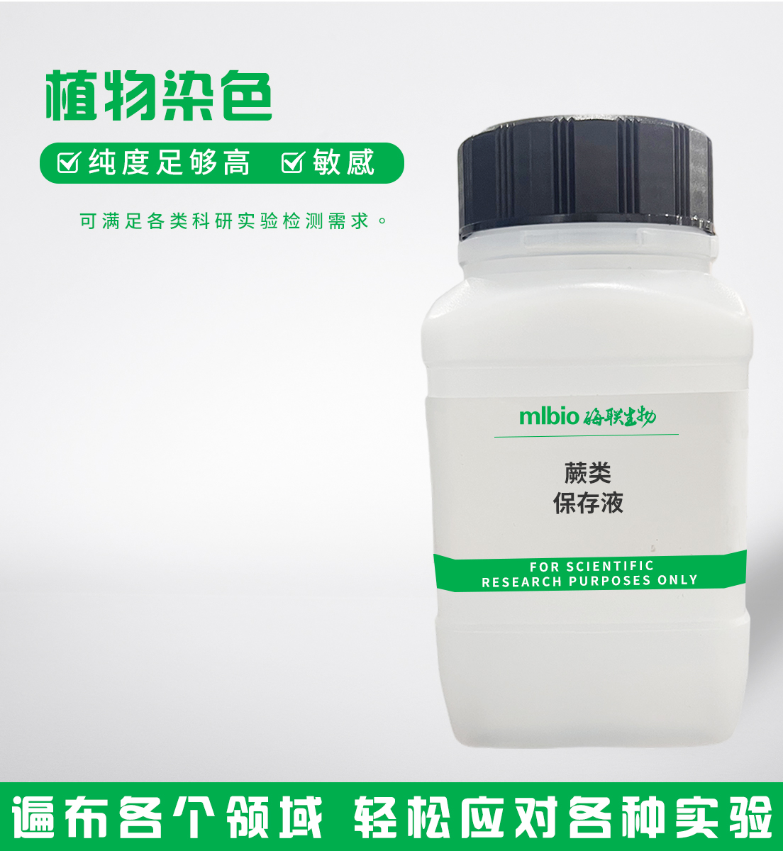 蕨類(lèi)保存液主圖