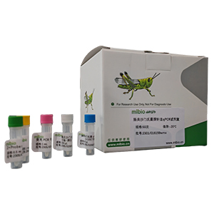 艱難梭狀芽孢桿菌探針?lè)╭PCR試劑盒(不含內(nèi)參)主圖