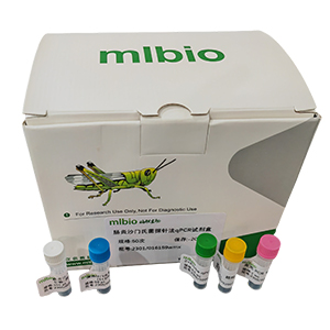 問(wèn)號(hào)鉤端螺旋體探針?lè)╭PCR試劑盒(不含內(nèi)參)主圖