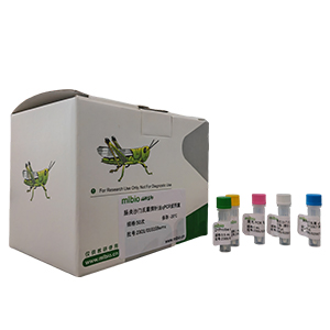 埃柯病毒15型探針法qRT-PCR試劑盒(不含內(nèi)參)主圖