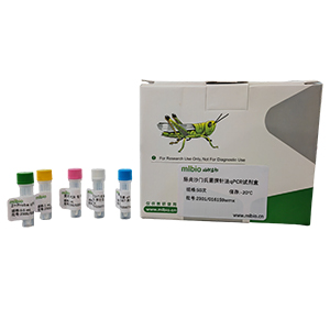 G群棒桿菌探針?lè)╭PCR試劑盒(不含內(nèi)參)主圖