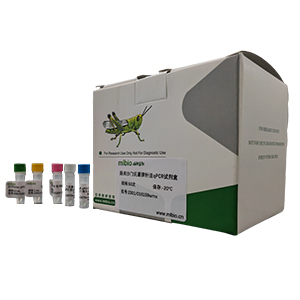 柯薩奇病毒A10型變種探針法qRT-PCR試劑盒(不含內參)主圖