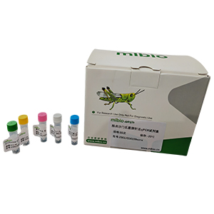 小鼠巨細(xì)胞病毒探針?lè)╭PCR試劑盒(不含內(nèi)參)主圖