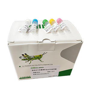 人免疫缺陷病毒1型M群D型探針法qRT-PCR試劑盒(不含內(nèi)參)主圖