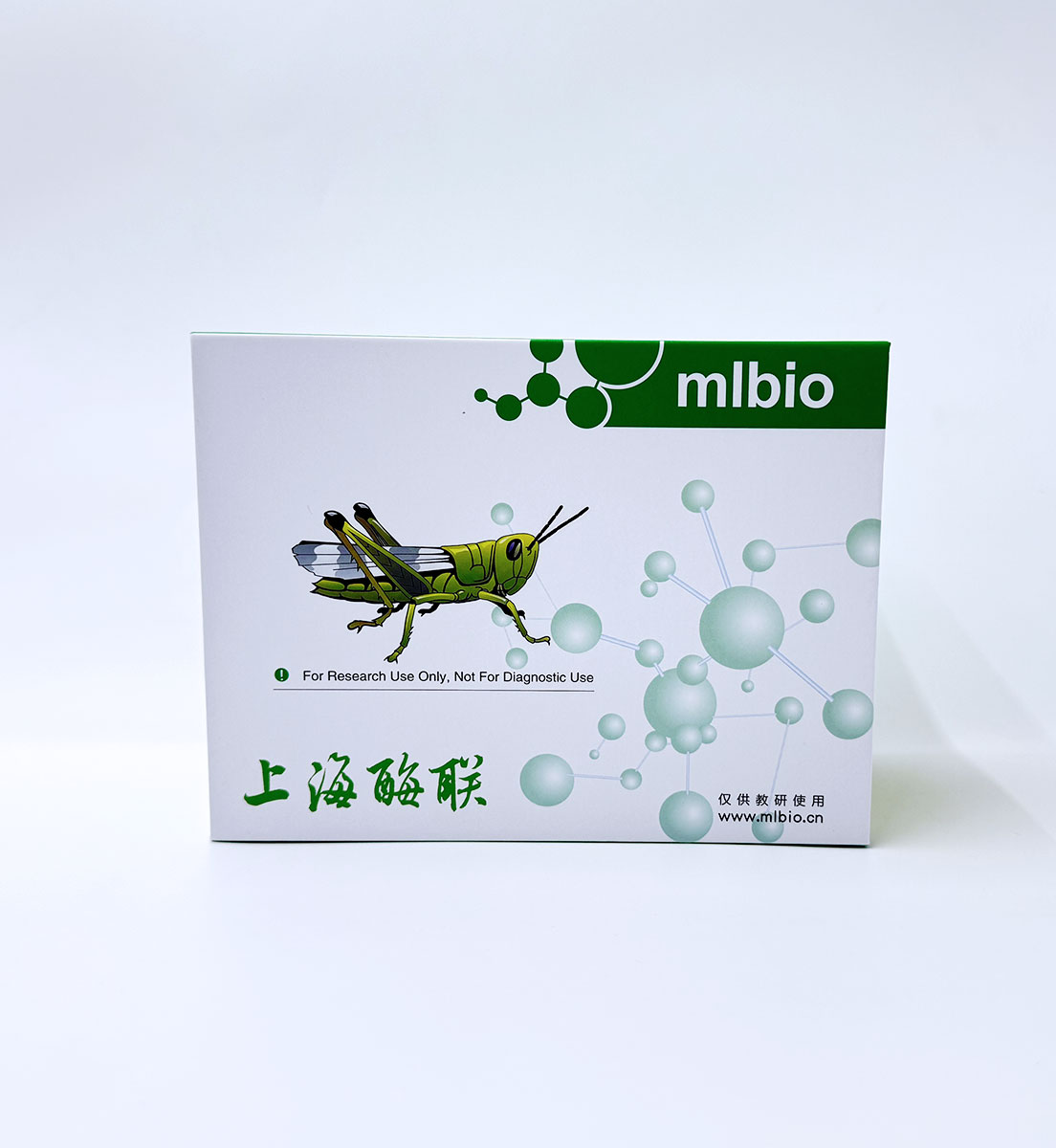 小鼠神經酰胺（ceramide）ELISA檢測試劑盒 主圖